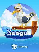 seagull