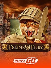 feline-fury