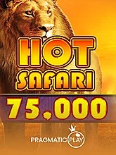 Hot Safari